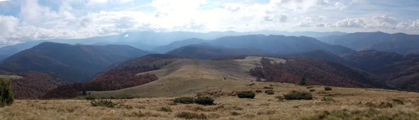 Ukrayna Karpatları, Doğa Koruma Alanı