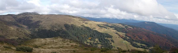 Ukrayna Karpatları Doğa Koruma Alanı — Stok fotoğraf