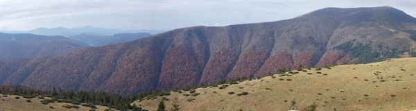 Ukrainische Karpaten Naturschutzgebiet — Stockfoto