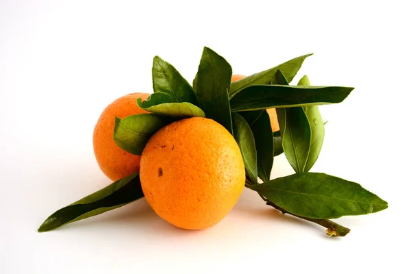 Mandalina ile şube.