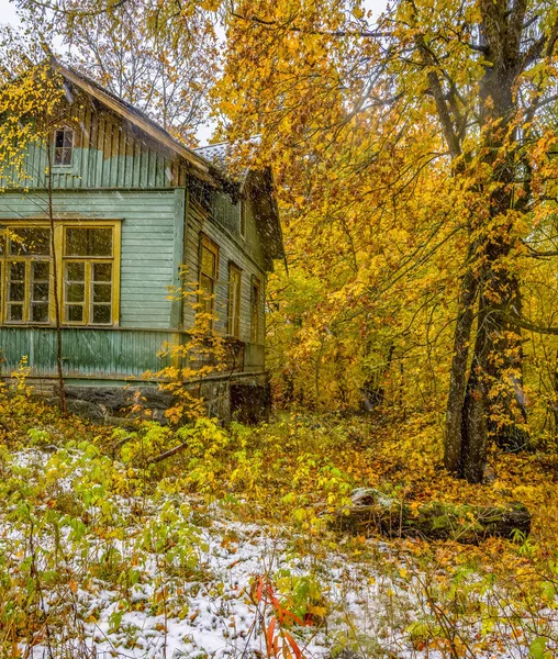 Первый снег в Карелии в 2019 году . — стоковое фото