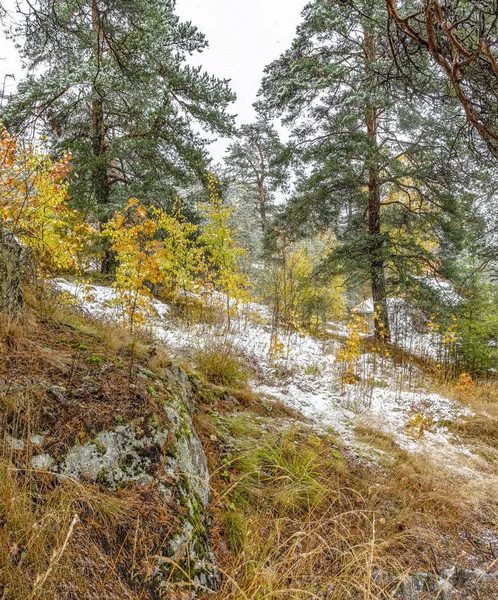 La primera nieve en Karelia en 2019 . — Foto de Stock