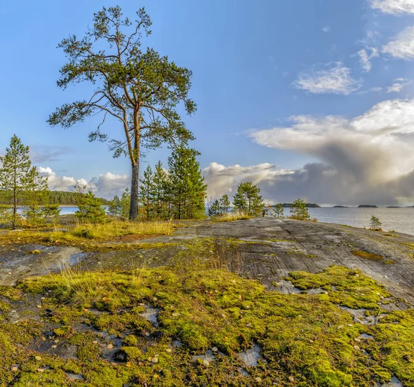 Wyspa Kajosaari, jezioro Ladoga, Karelia, Rosja. — Zdjęcie stockowe