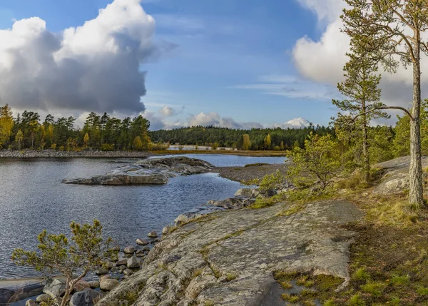 Wyspa Kajosaari, jezioro Ladoga, Karelia, Rosja. — Zdjęcie stockowe