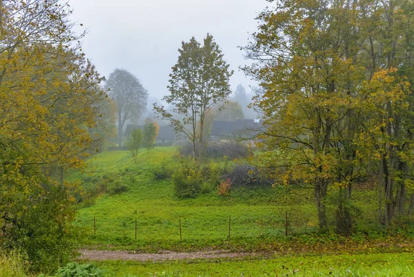 Foggy őszi reggel az ősi város Izborsk. — Stock Fotó