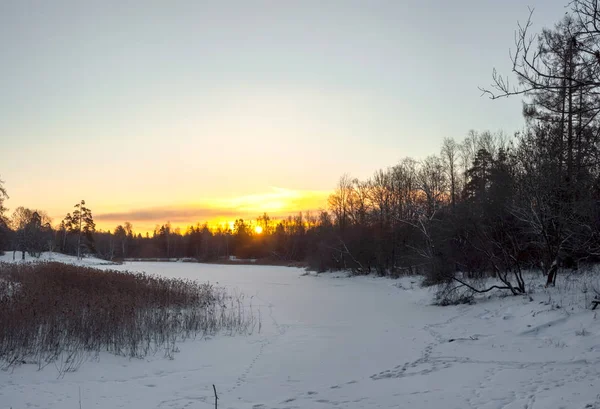 Frostiger Januar-Sonnenaufgang — Stockfoto