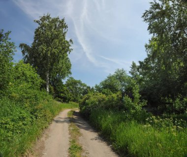 güneşli yaz peyzaj 