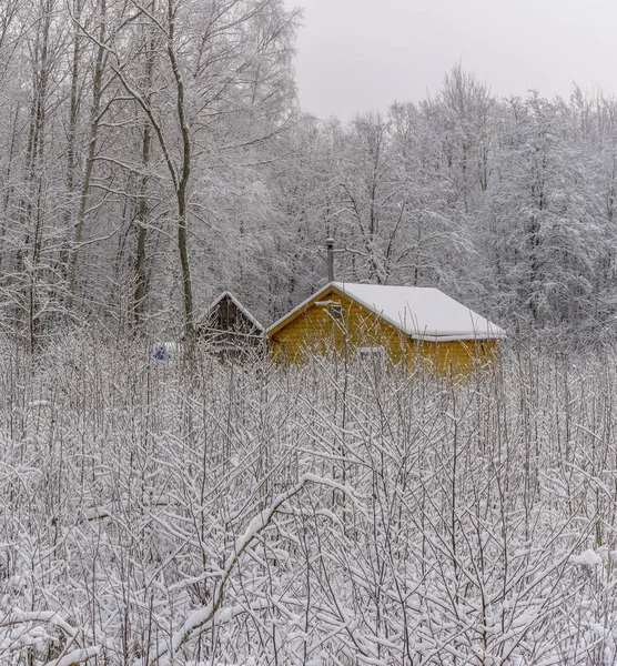 Maison jaune dans la forêt enneigée de décembre . — Photo