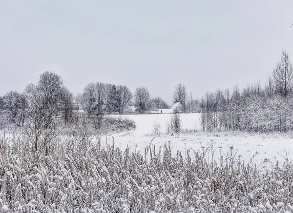 Snowy December day in the countryside. — Stock Photo, Image
