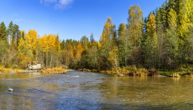 Karelia 'da sonbahar manzarası ve bir nehir..  