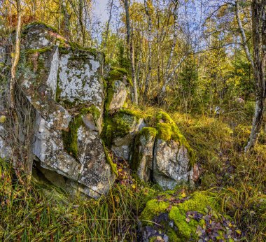 Karelia 'da sonbahar manzarası kayalarla kaplı, ağaçlarla kaplanmış.. 