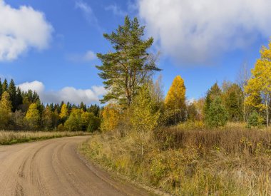 Karelya 'da sonbahar manzarası. 
