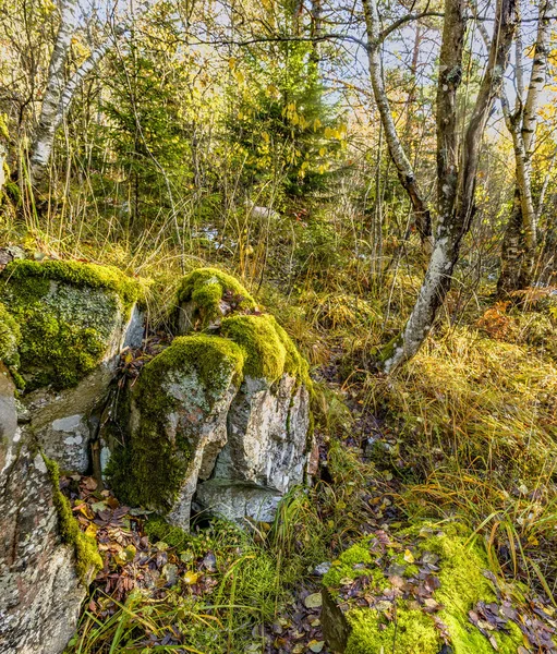 Paisaje otoñal en Karelia con rocas, cubierto de árboles . — Foto de Stock