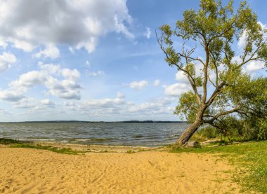Zaslavsky barajının kumsalında rüzgarlı bir gün.. 