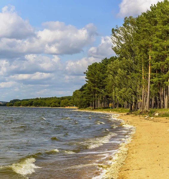Wietrzny dzień na plaży w Zasławskim zbiorniku wodnym. — Zdjęcie stockowe