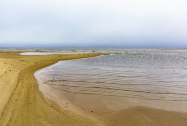 Pskov bölgesindeki Peipus Gölü sahilinde sonbahar günü.