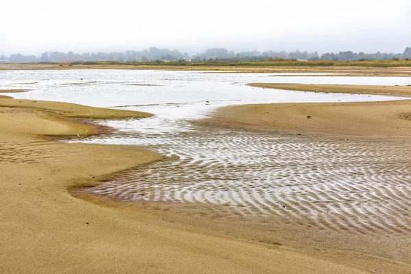 Día de otoño en la playa del lago Peipus en la región de Pskov . —  Fotos de Stock