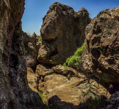 Avustralya 'da mistik bir yerde asılı, Victoria.