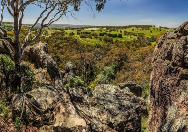 Avustralya 'da mistik bir yerde asılı, Victoria.