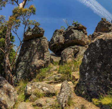 Avustralya 'da mistik bir yerde asılı, Victoria.