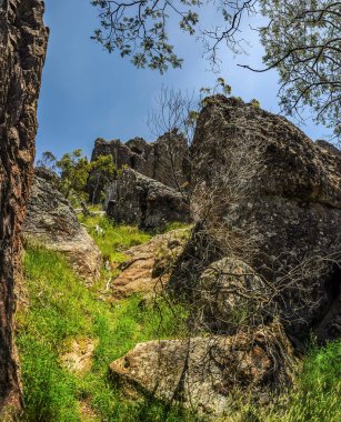 Avustralya 'da mistik bir yerde asılı, Victoria.