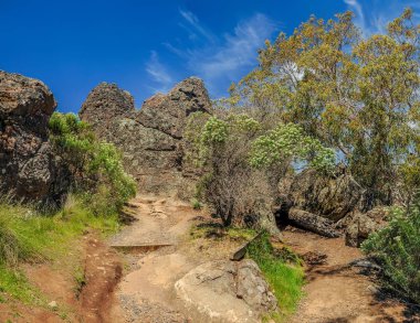 Avustralya 'da mistik bir yerde asılı, Victoria.