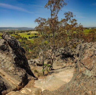 Avustralya 'da mistik bir yerde asılı, Victoria.