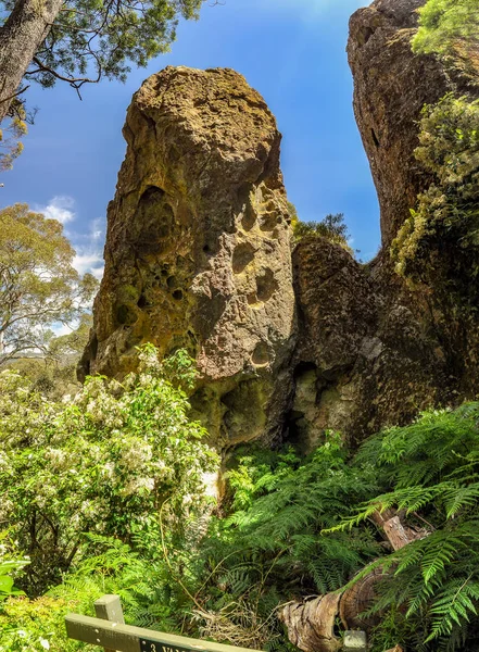 澳大利亚维多利亚州悬崖峭壁- -一个神秘的地方 — 图库照片