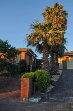 Hallam 'da ılık bir yaz akşamı. 