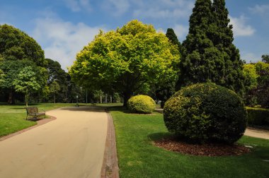 Parkların tımarı ve güzelliği 