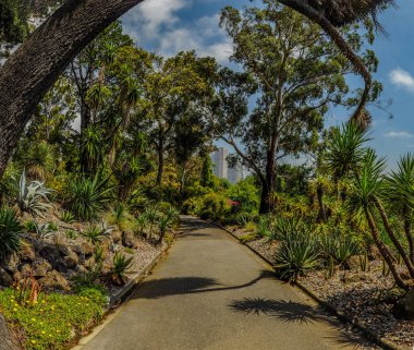 Melbourne Parkları ve Bahçeleri