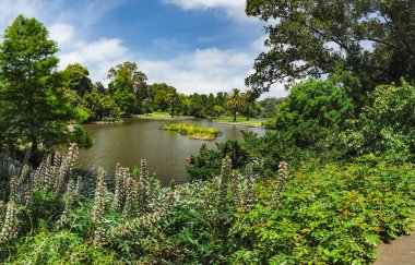 Melbourne Parkları ve Bahçeleri