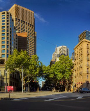 Melbourne 'un yeşilliğine dalmış.