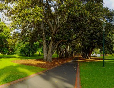 Hazine Bahçeleri, Melbourne, Avustralya. 31.12.2013.