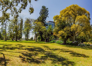 Melbourne 'un merkezinde güzel parklar.