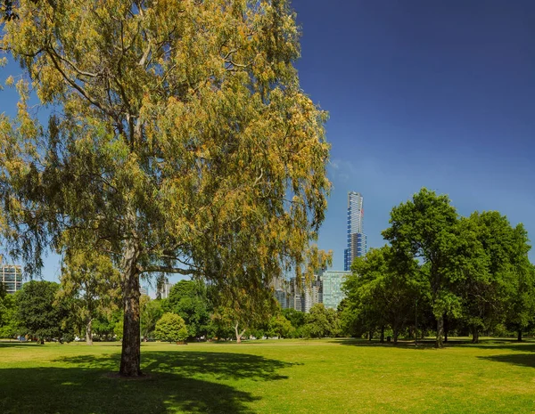 Parky a zahrady Melbourne — Stock fotografie