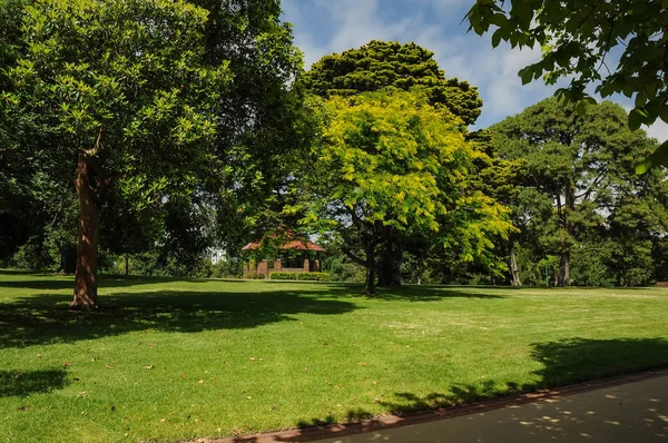 Aseo y belleza de los parques — Foto de Stock