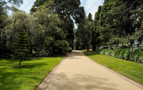 Aseo y belleza de los parques — Foto de Stock