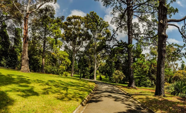 Парки й сади Мельбурна — стокове фото