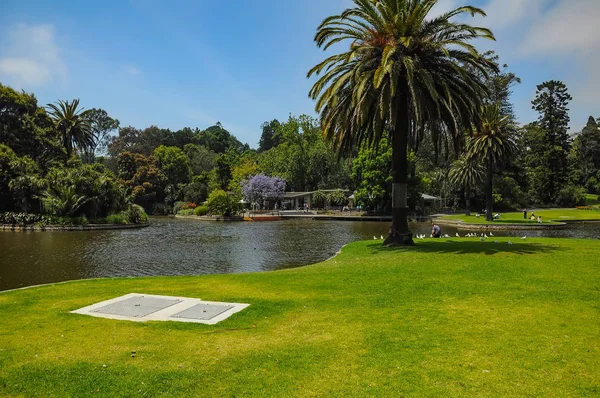 Aseo y belleza de los parques — Foto de Stock