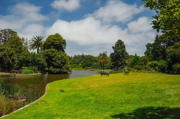 Aseo y belleza de los parques — Foto de Stock