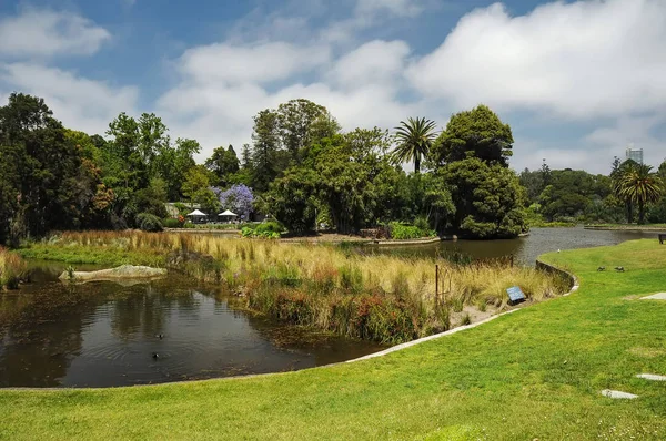 Aseo y belleza de los parques — Foto de Stock