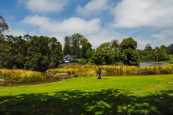 Aseo y belleza de los parques — Foto de Stock