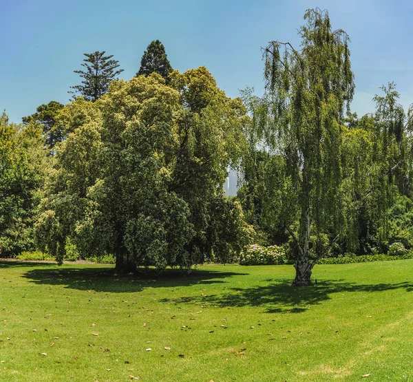 Melbourne-i parkok és kertek — Stock Fotó