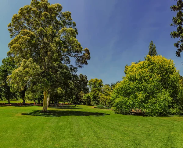 Hermosos Parques Centro Melbourne — Foto de Stock