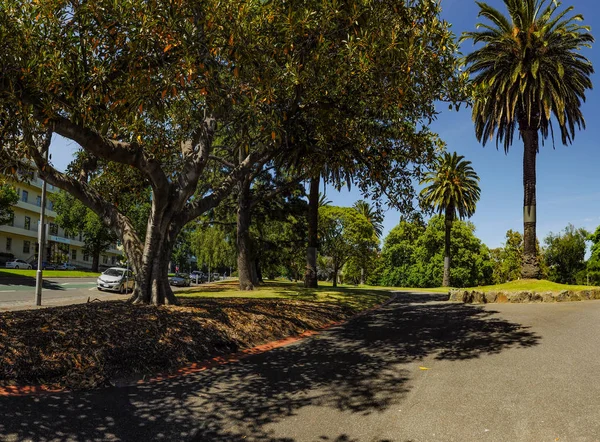 Mooie Parken Het Centrum Van Melbourne — Stockfoto