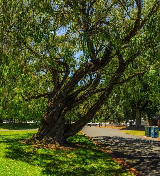 Hermosos Parques Centro Melbourne — Foto de Stock