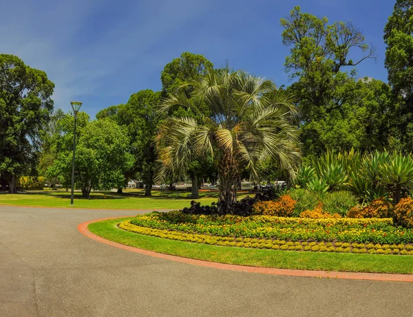 Immersed Green Melbourne — Stock Photo, Image