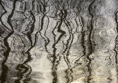 Nehrin sularındaki ağaçların soyut yansıması.