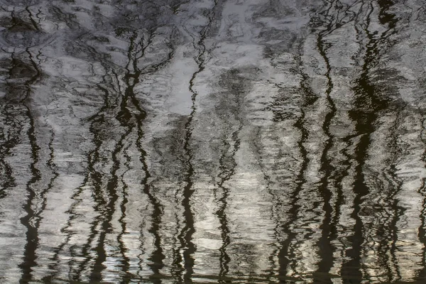 Reflexão abstrata de árvores na água de um rio . — Fotografia de Stock